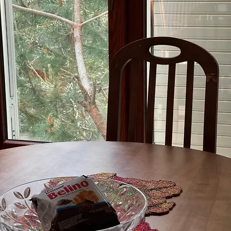 Gjiri I Lalezit アパート *