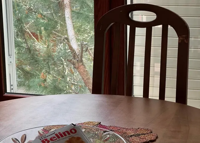 Gjiri I Lalezit 公寓 *